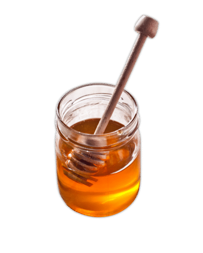 Forest Honey 900 Ml